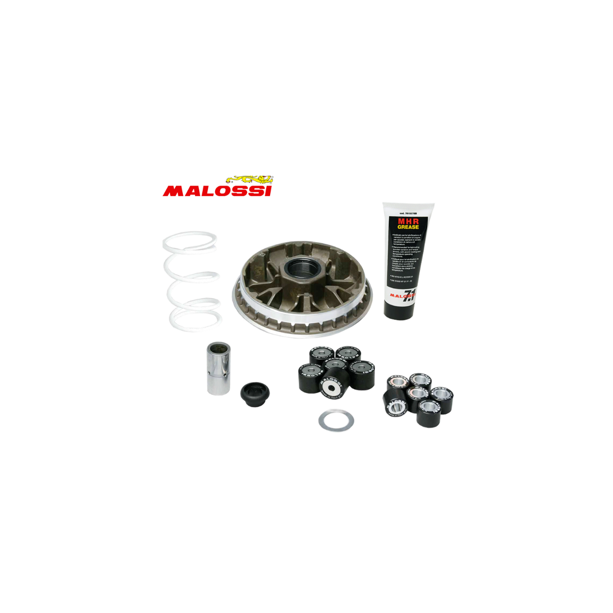 KIT VARIATORE MALOSSI HONDA SH 300 5114192