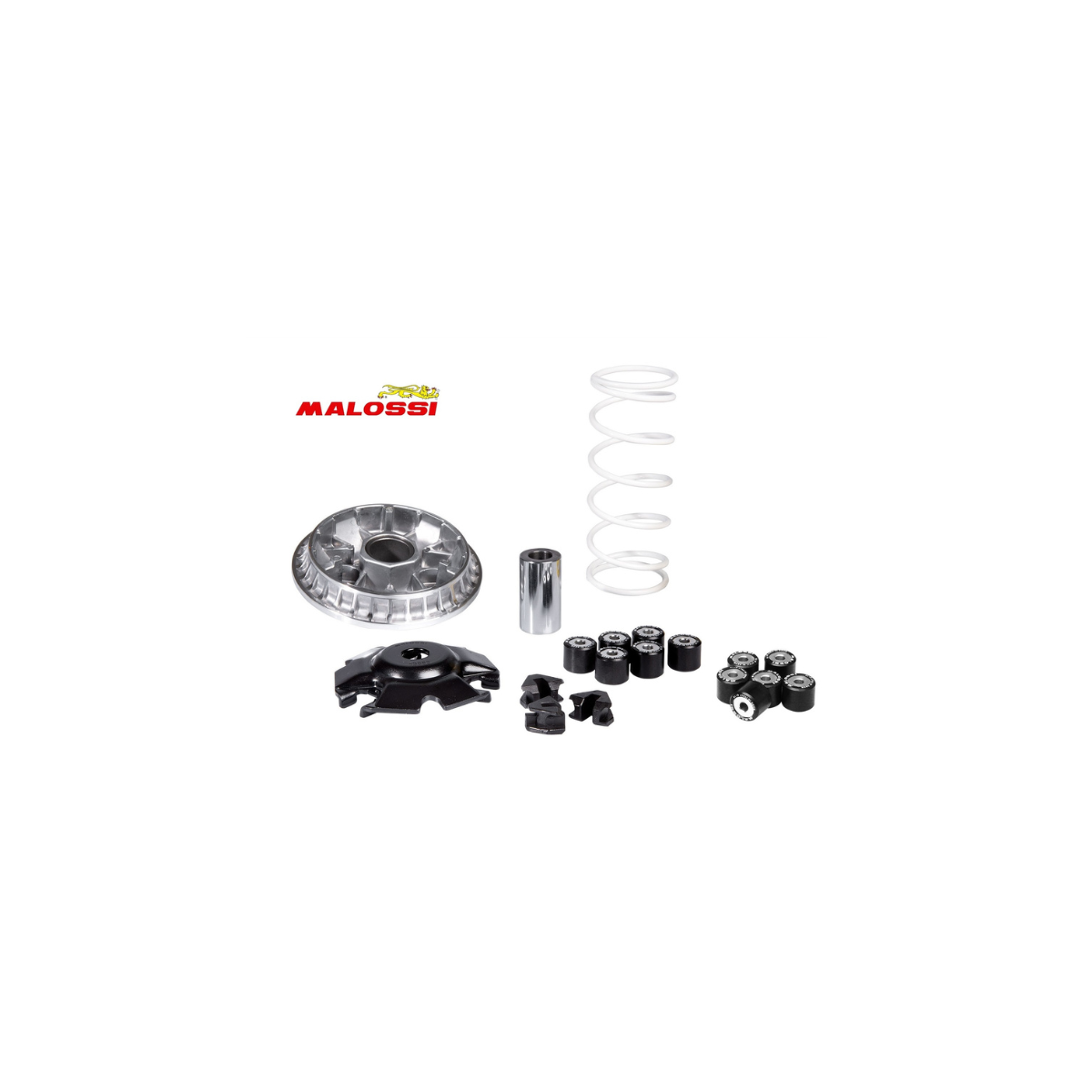 KIT VARIATORE MALOSSI HONDA SH 125 150 5118776